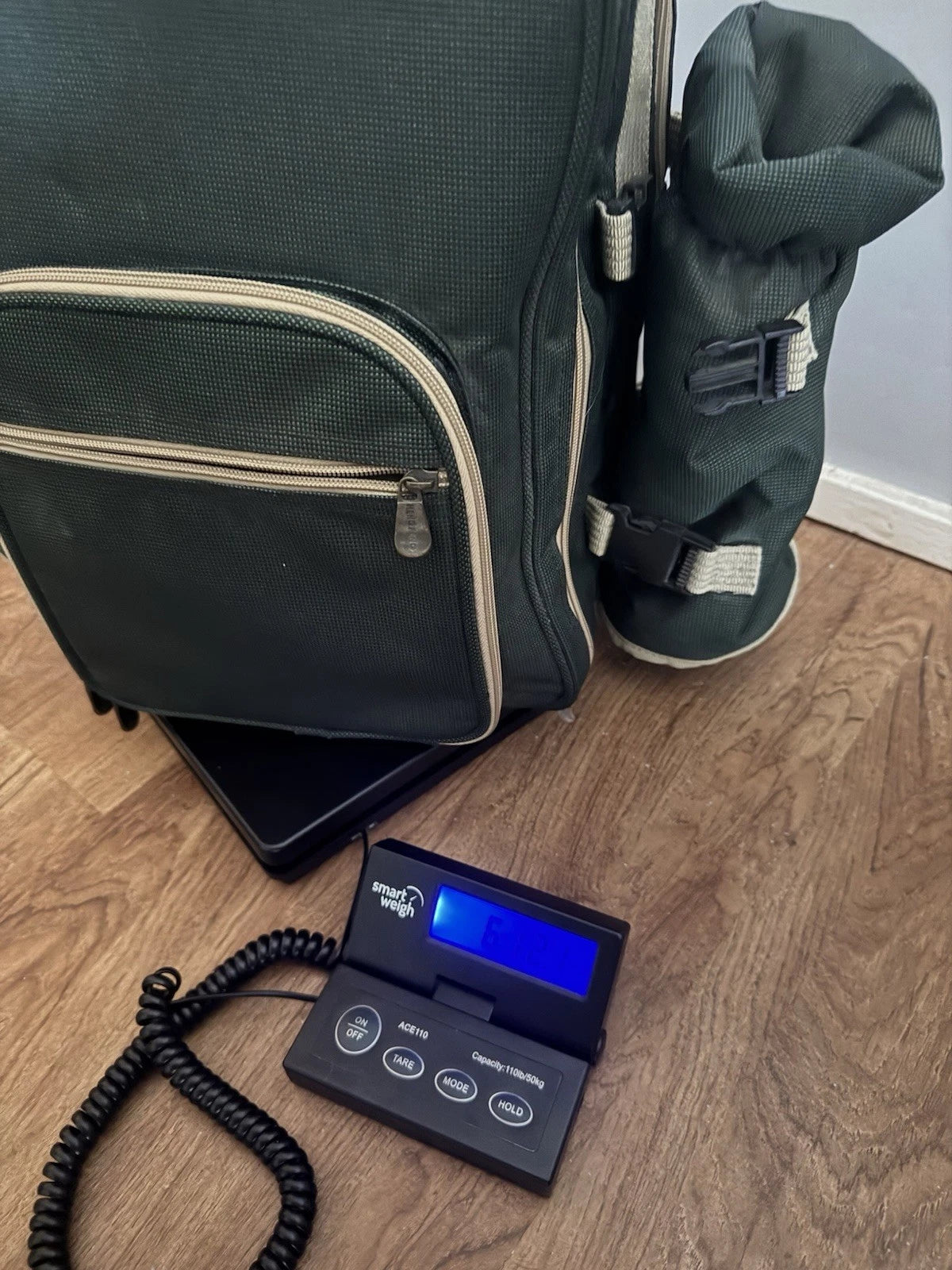 Picnic Backpack With Plastic Plates/plastic Wine Glasses For Party Of 4 | eBay