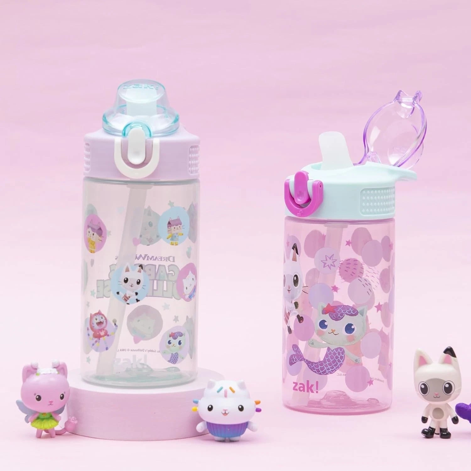 Reusable Gabby's Dollhouse Water Bottles - Fun & Hygienic for Kids, Set of Two | eBay