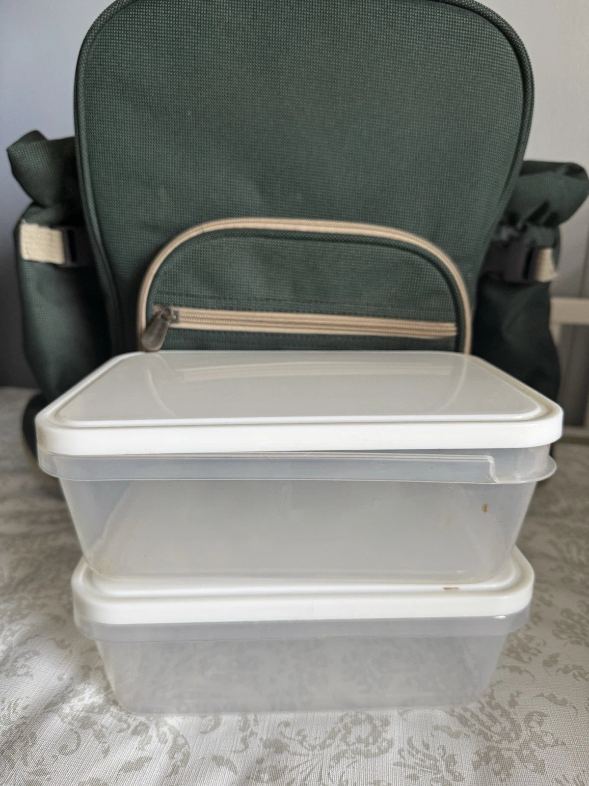 Picnic Backpack With Plastic Plates/plastic Wine Glasses For Party Of 4 | eBay