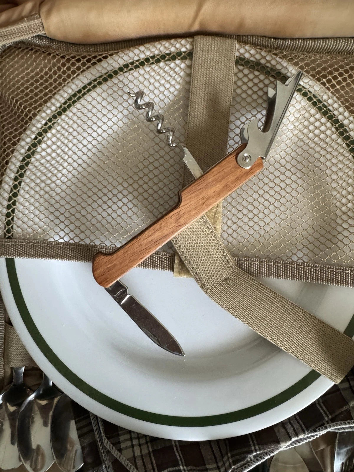 Picnic Backpack With Plastic Plates/plastic Wine Glasses For Party Of 4 | eBay