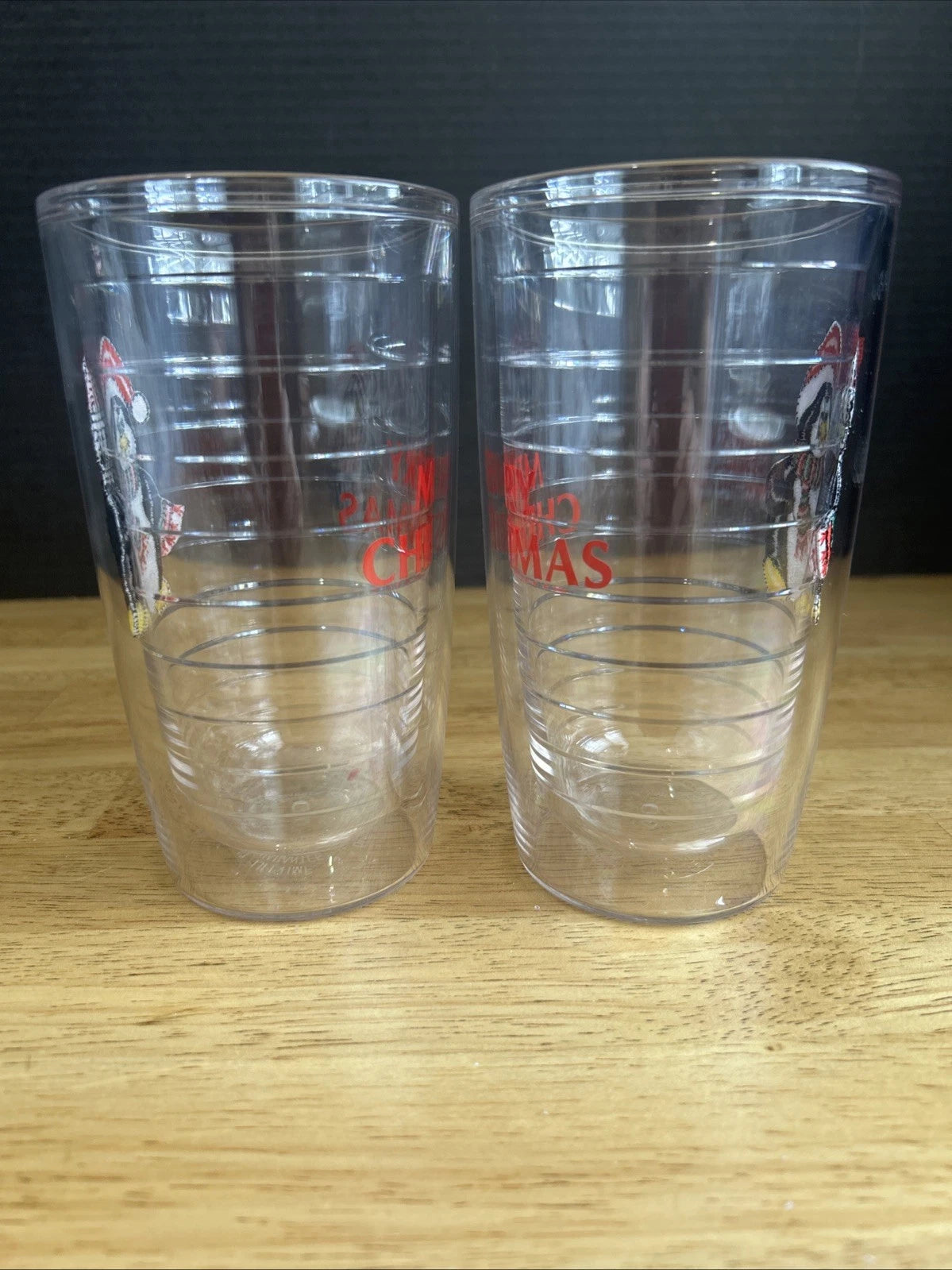 MERRY CHRISTMAS TERVIS TUMBLERS 16oz Lot Of 2 Winter~Christmas~Penguins | eBay