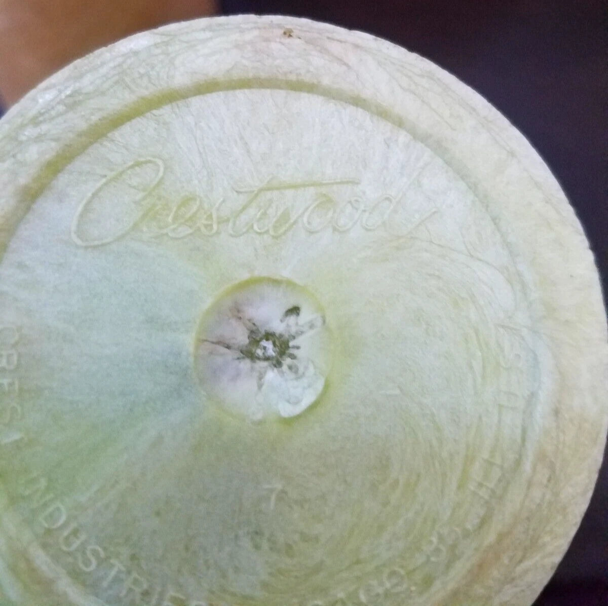 Rare Crestwood Foam Insulated Tumblers Set of 6 Made In USA | eBay