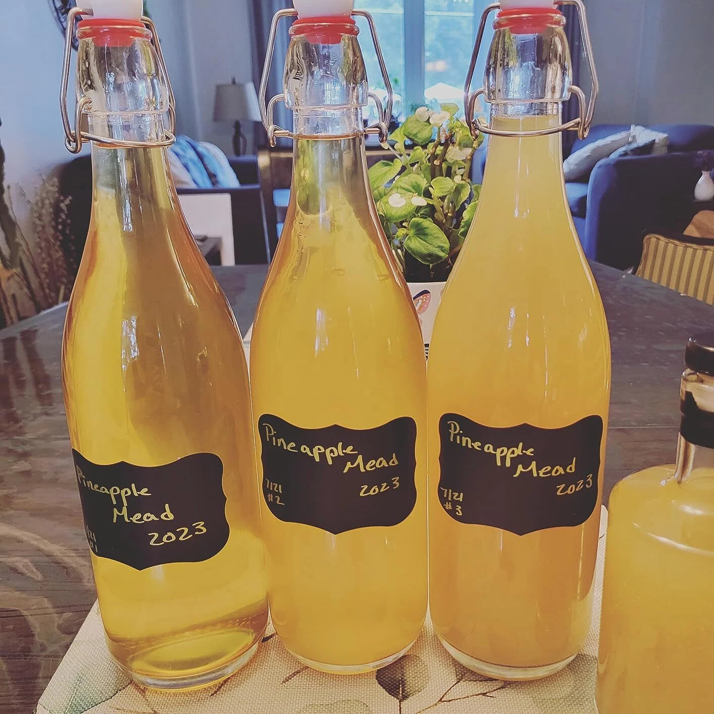 Giara Glass Bottle with Stopper Caps, Set of 6-33.75 Oz Swing Top Glass Bottl... | eBay