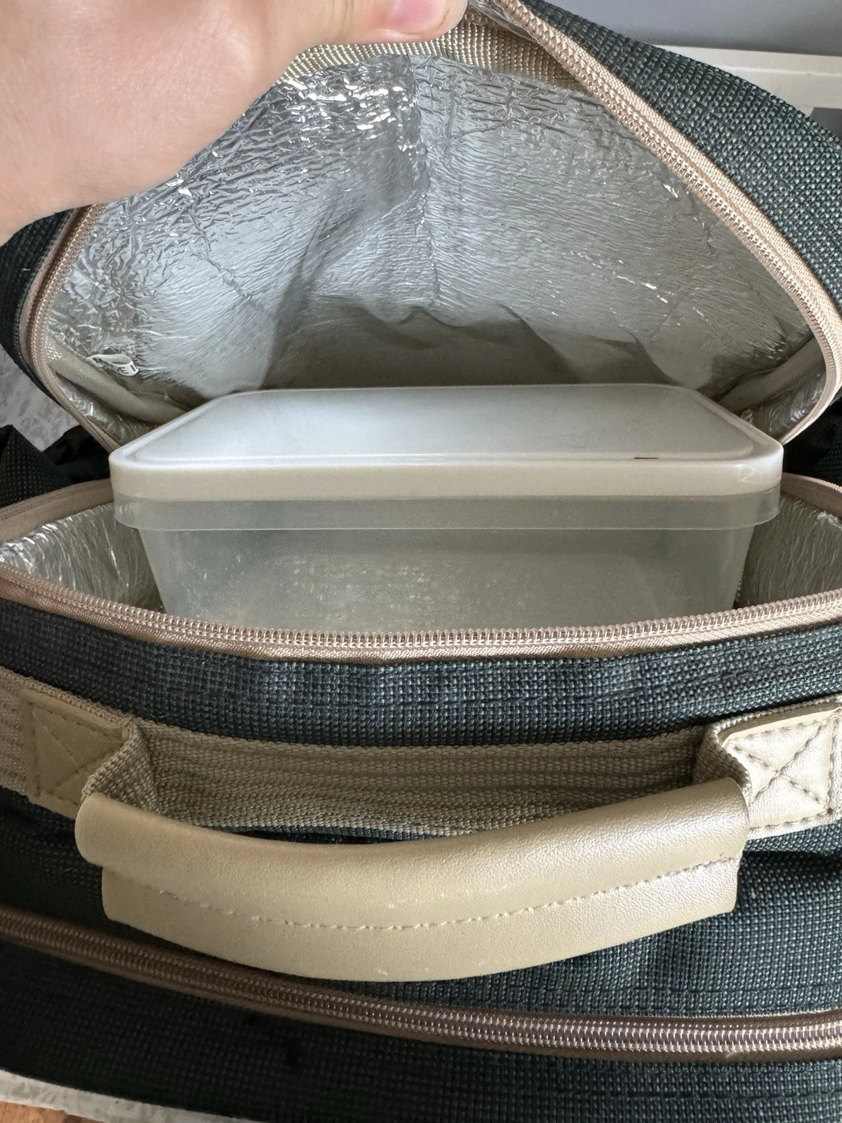 Picnic Backpack With Plastic Plates/plastic Wine Glasses For Party Of 4 | eBay