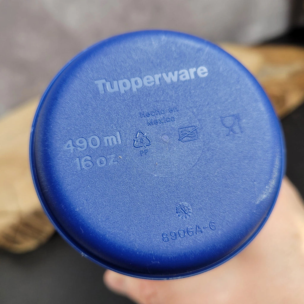 Tupperware National Park Series Woods Mountains Blue Travel Mug Cup Lid #8906A-6 | eBay